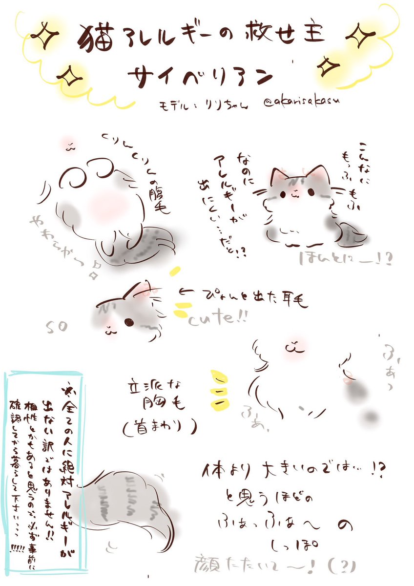 猫アレルギー氏 Hill's-Colgate (Japan) Ltd.