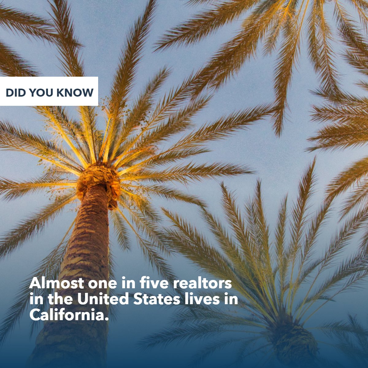 Did you know?

Almost one in five realtors in the United States lives in California!!

#californiarealtor     #didyouknow     #didyouknowfacts     #factsdaily
#realestate #realtor #southcarolina #homebuyer #land #homeowner #homeimprovement #lakemarion #summerville