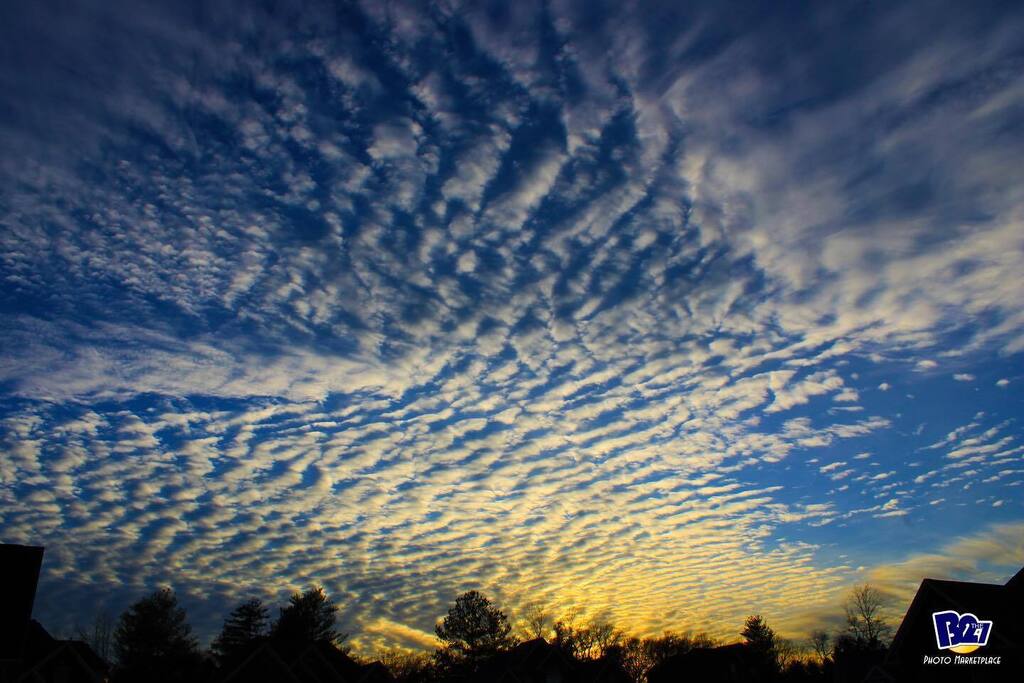 The sunset and clouds last night were pretty amazing.

#nature #natureshots #naturephotography #photography #louisvillecreators #Louisville #louisvillephotography #igerslouisville #sunset #sunsetphotography #sunsetchallenge #sunset_pics #sunsets_captures #sunsetsky #photooft…