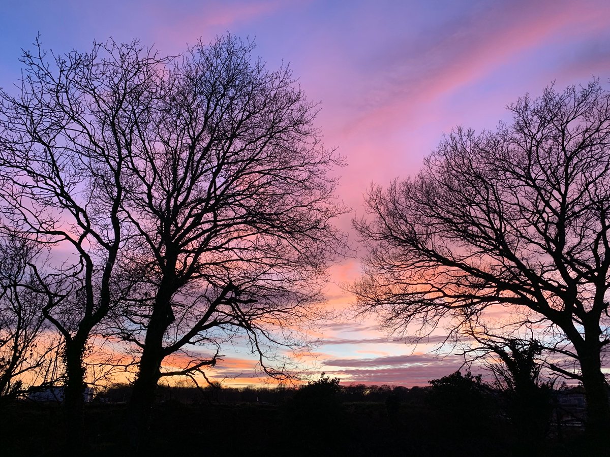 DEdleston's tweet photo. Amazing colours in the sky in Rackheath, Norfolk this evening #sunset #Norfolk https://t.co/6eA9ThHgSR
