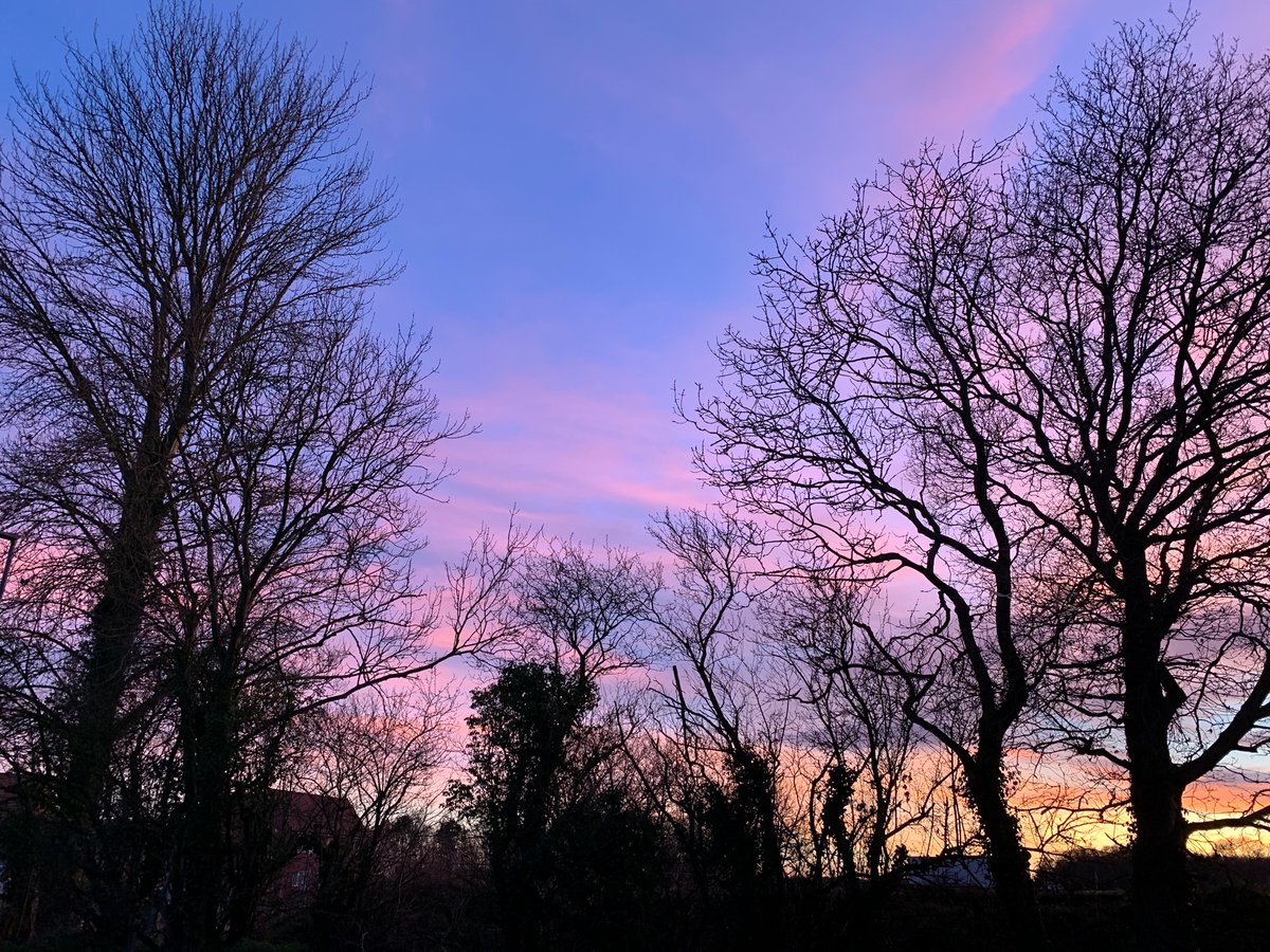 DEdleston's tweet photo. Amazing colours in the sky in Rackheath, Norfolk this evening #sunset #Norfolk https://t.co/6eA9ThHgSR