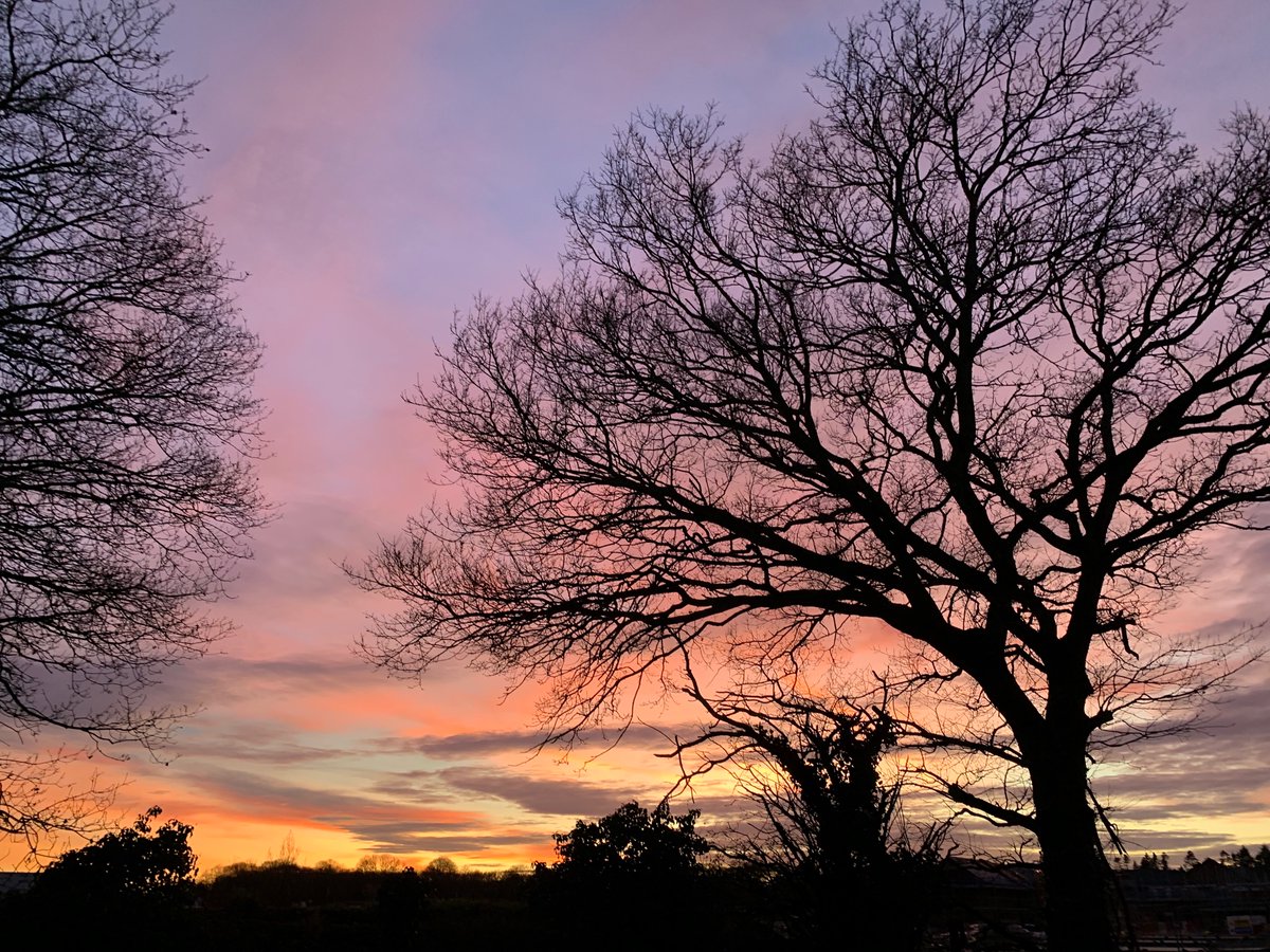 DEdleston's tweet photo. Amazing colours in the sky in Rackheath, Norfolk this evening #sunset #Norfolk https://t.co/6eA9ThHgSR