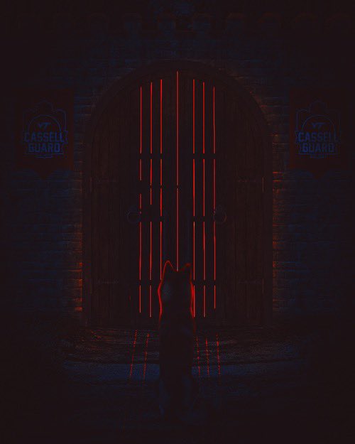HokiesWBB's tweet photo. 🏰 defended. https://t.co/dUsFFaA2LA