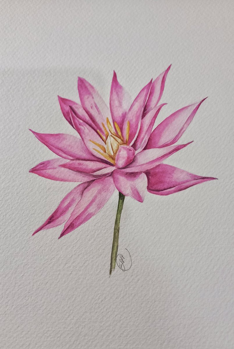 edi_cristal's tweet photo. #watercolorpainting #artistsontwitter #acquarella https://t.co/k6o4T2DBq3