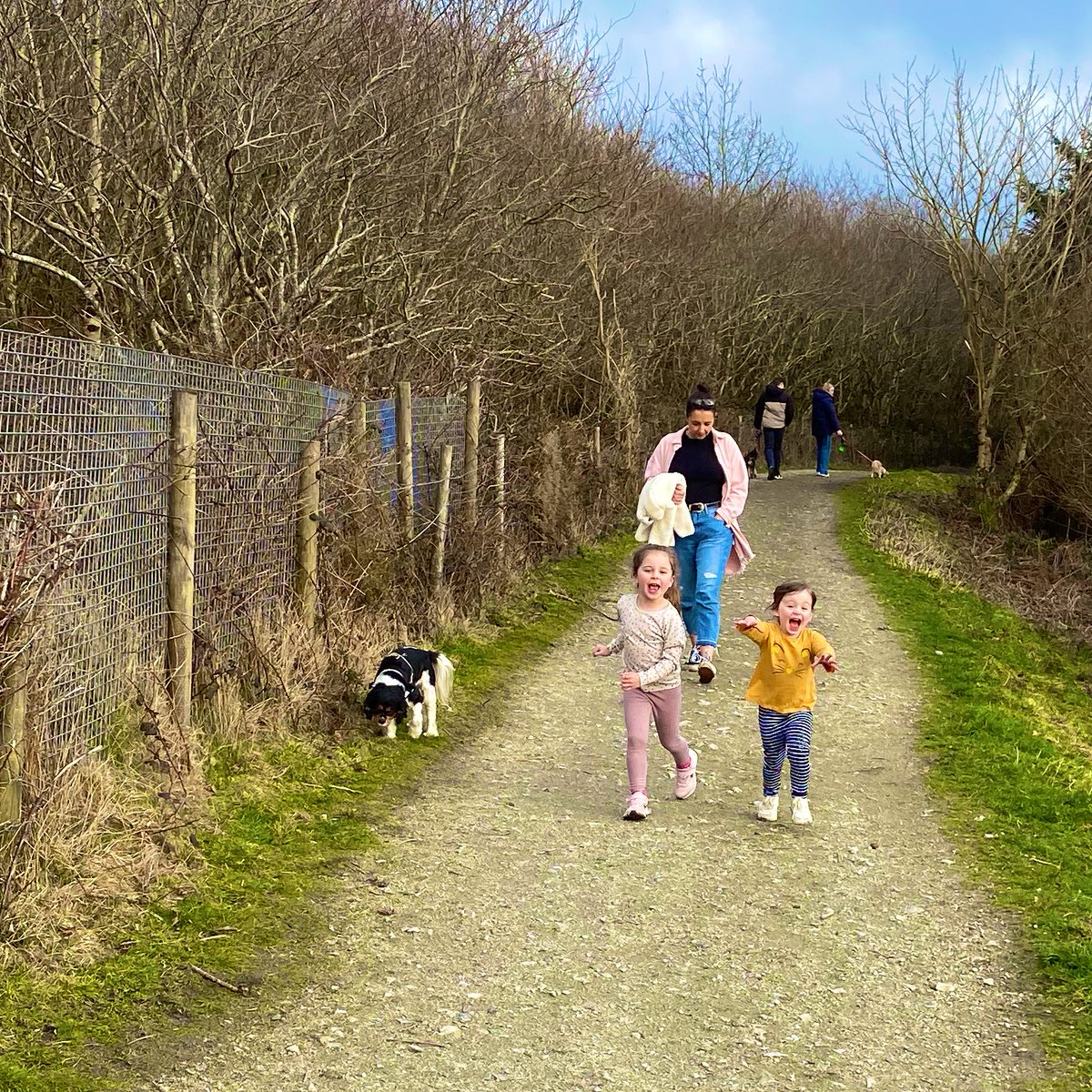 jamescutlan's tweet photo. Afternoon stroll with these four. Couple looney toons running along the trails ππ
.
#IzzyJune #LilyVera #ClayTrailStrolls πΆ https://t.co/F5W6tdo10p