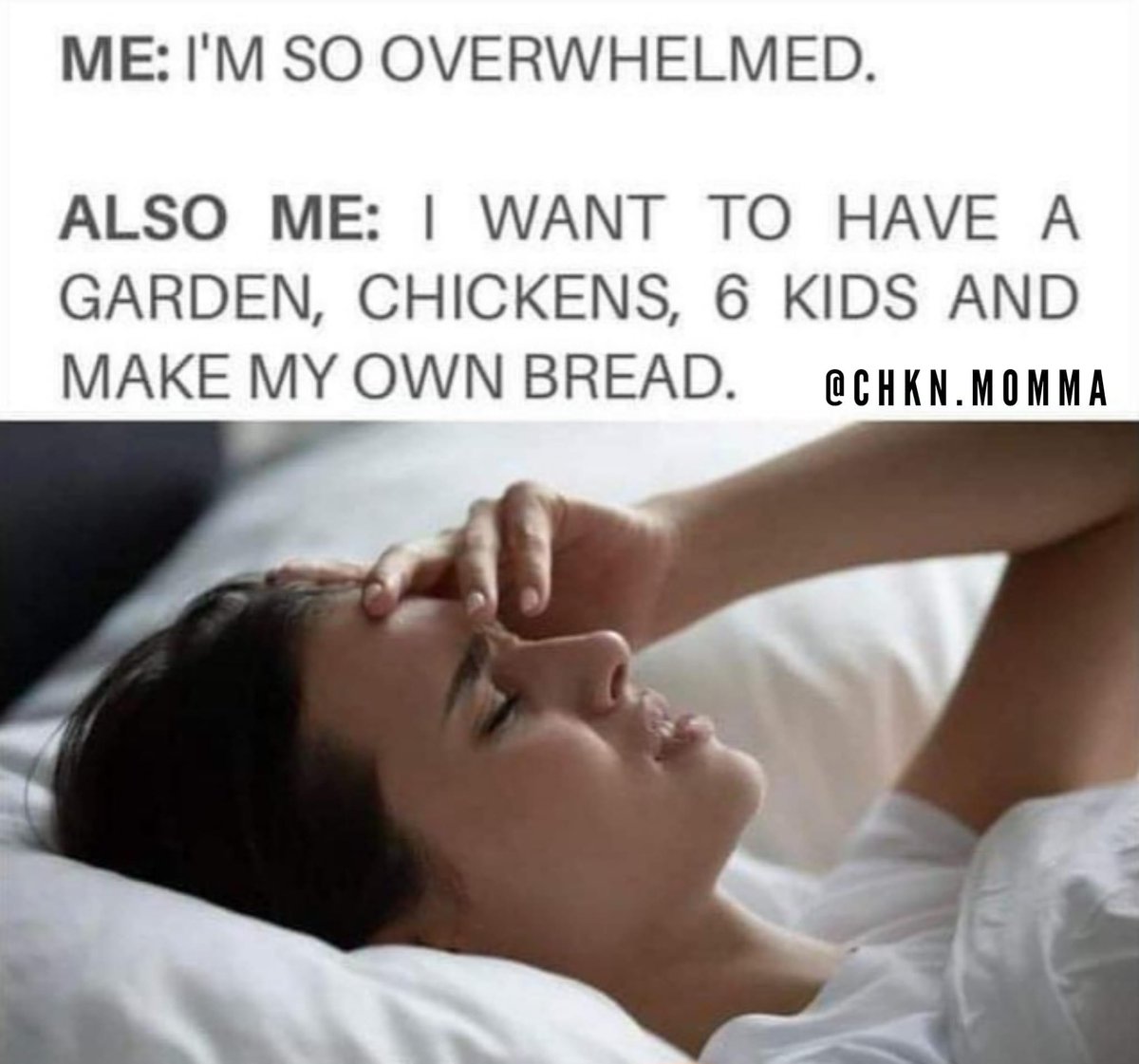 MorgonAuthor's tweet photo. it do be like that https://t.co/MuXI9W9zRI