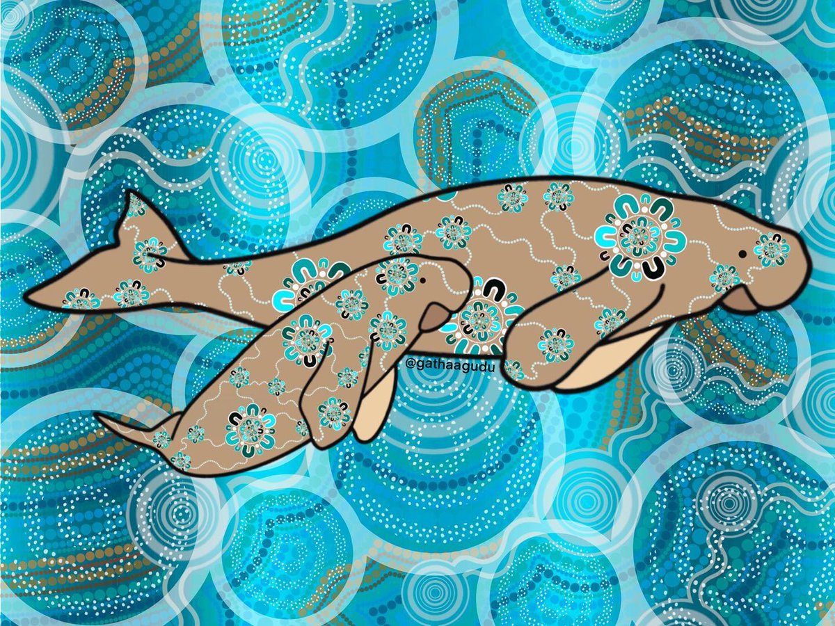SharkSafetyWA's tweet photo. #Dugong Dreaming
#SharkBay is home to more than 10,000 dugongs (Dugong dugon), about 10% of the world population of this globally vulnerable to #extinction species.
Traditional knowledge from the local #Malgana and #Nhanda peoples of Shark Bay.
https://t.co/vf7UpcxM7B https://t.co/kENGDIW5SX