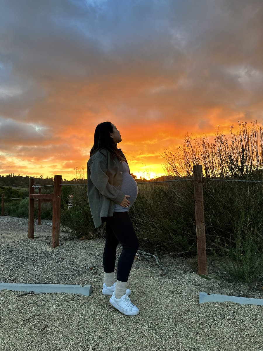 Matt Schlicht tweet media