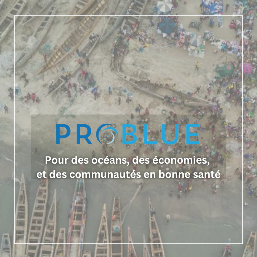 Banquemondiale's tweet photo. Notre programme #PROBLUE_Oceans, financé par un fonds multidonateurs, repose sur 4 piliers :

➡️ Pêche et aquaculture durables
➡️ Lutte contre la pollution marine 
➡️ Développement durable des secteurs océaniques
➡️ Gestion intégrée des paysages marins

https://t.co/UF2SLof7ic https://t.co/rCcZuB1D8G