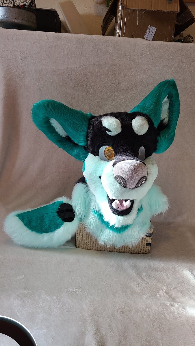 mangle_arts's tweet photo. This guy is on his last day at auction!!! Payment plans are accepted!! Reserve is set at 800! You can also pm me with offers!

Head and tail!! https://t.co/jUTfmjej6m