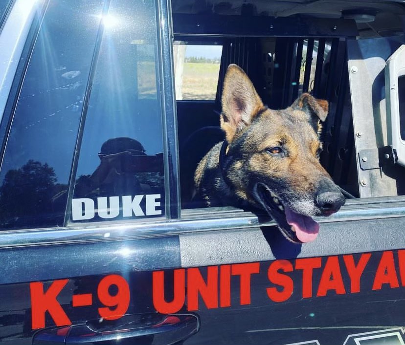 Our hearts are heavy as we share that one of our own, San Joaquin County Sheriff's K9, Duke, was killed in the line of duty while apprehending a burglary suspect. The suspect is in custody.