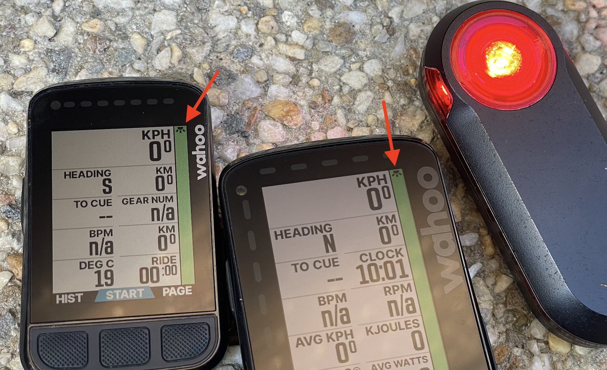 Shane Miller 🦙 tweet media