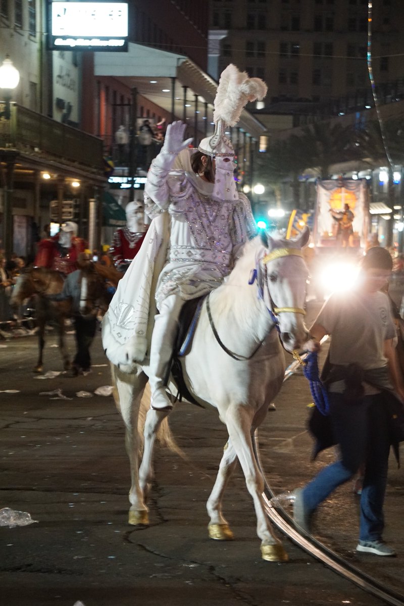 lenubienne's tweet photo. From Thursday: #KnightsOfBabylon #KnightsOfChaos #MardiGras https://t.co/6vcqnmS2eN