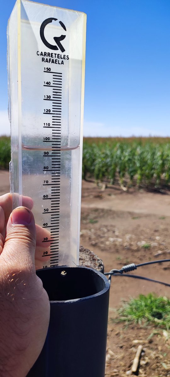 Flavio D Bertola tweet media