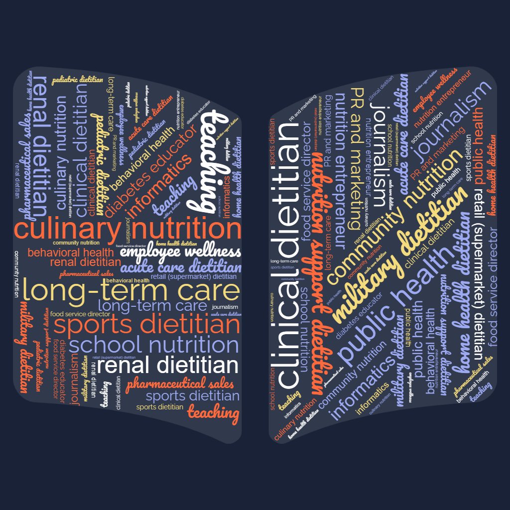 BuildUpRDNs's tweet photo. playing around w/ #worldcloud -- some of the different roles/positions #dietitians can have https://t.co/pAtGBzFn6O