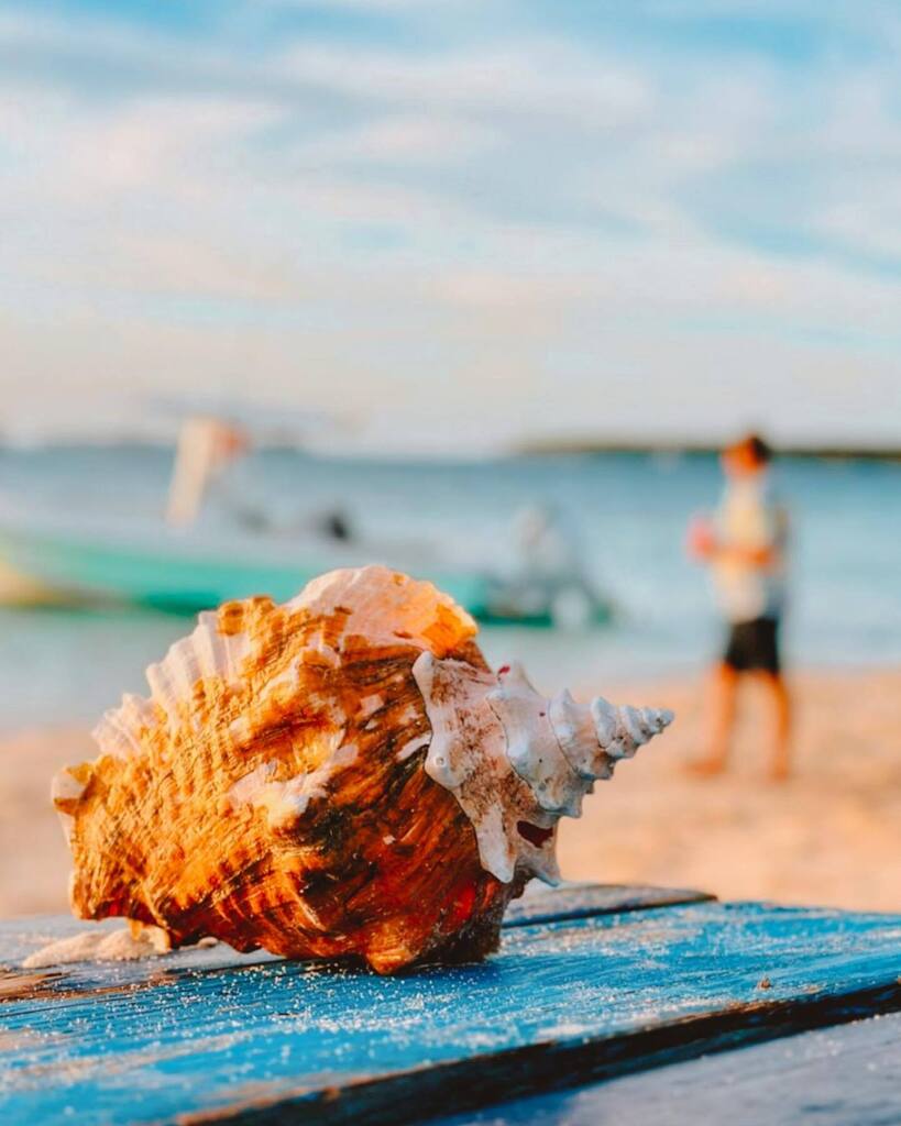 Valentines Resort tweet media