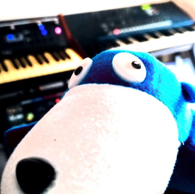 ayumour's tweet photo. おはです☆今日もロックンロールでまいりましょ♪
人形情瑠璃で、ボクが弾いたシンセはこちら。
音、探してみてね(笑)
#moog #littlephattytributeedition #korg #ms2000 https://t.co/h2rx5TqpFQ