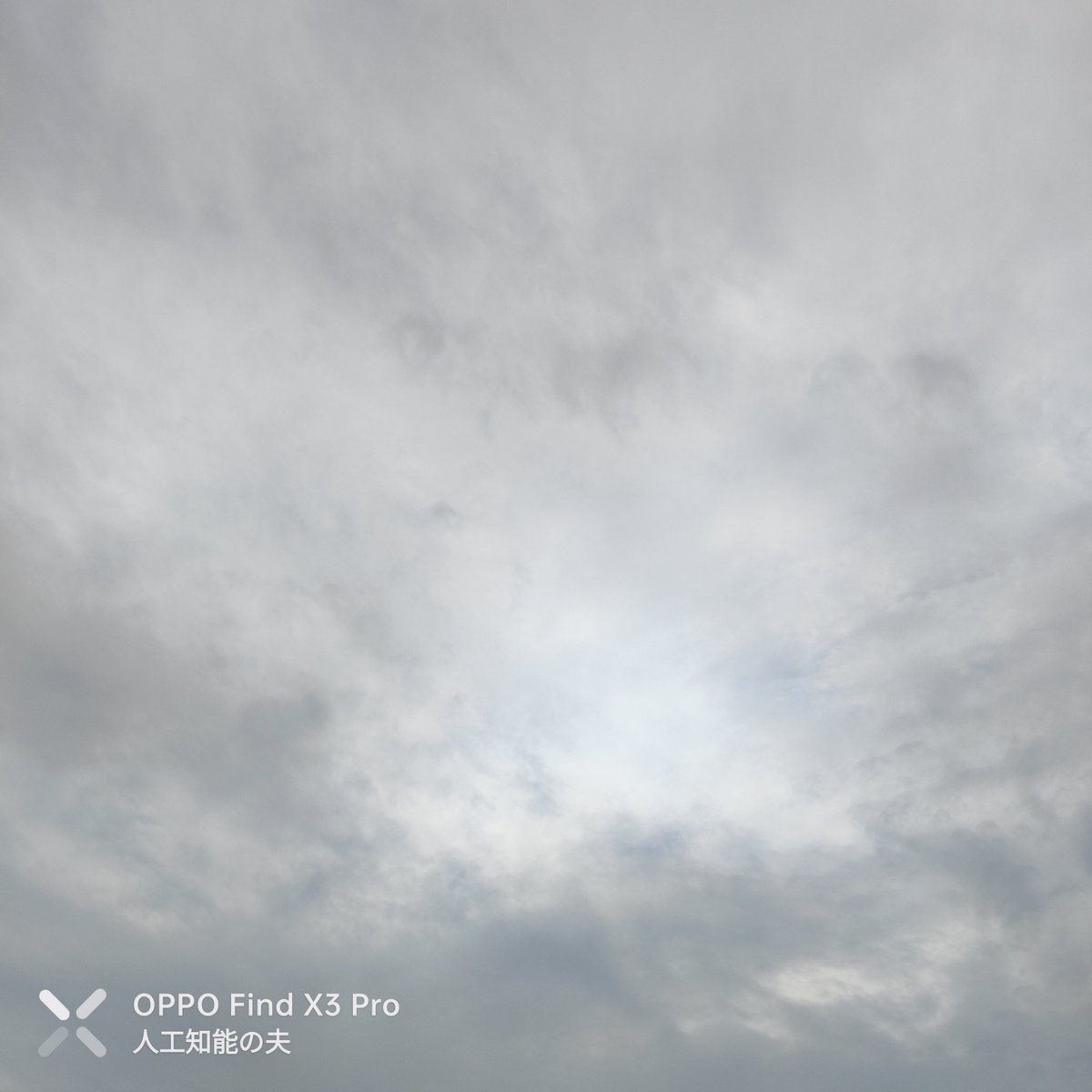 anrigarden's tweet photo. おはようございます♪
今朝の #沖縄 の天気は曇り。
やはり日光が届かないと肌寒いですね。
#ボーモンティア と #クロトン ♪
昨日準備した商品を積み込んで、納品行脚行ってきます！
#畑仕事 #Beaumontia #Codiaeum https://t.co/HC2ivlxAS4