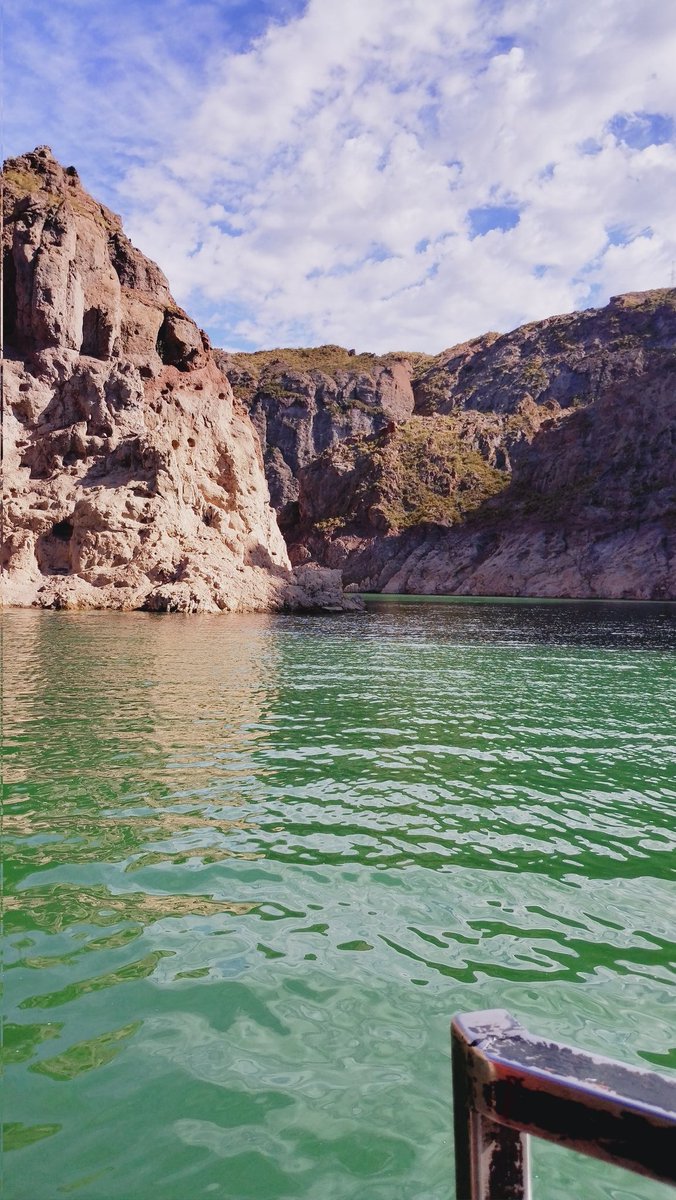 srta chanandler bong tweet media