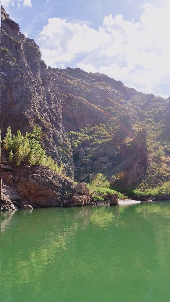 srta chanandler bong tweet media