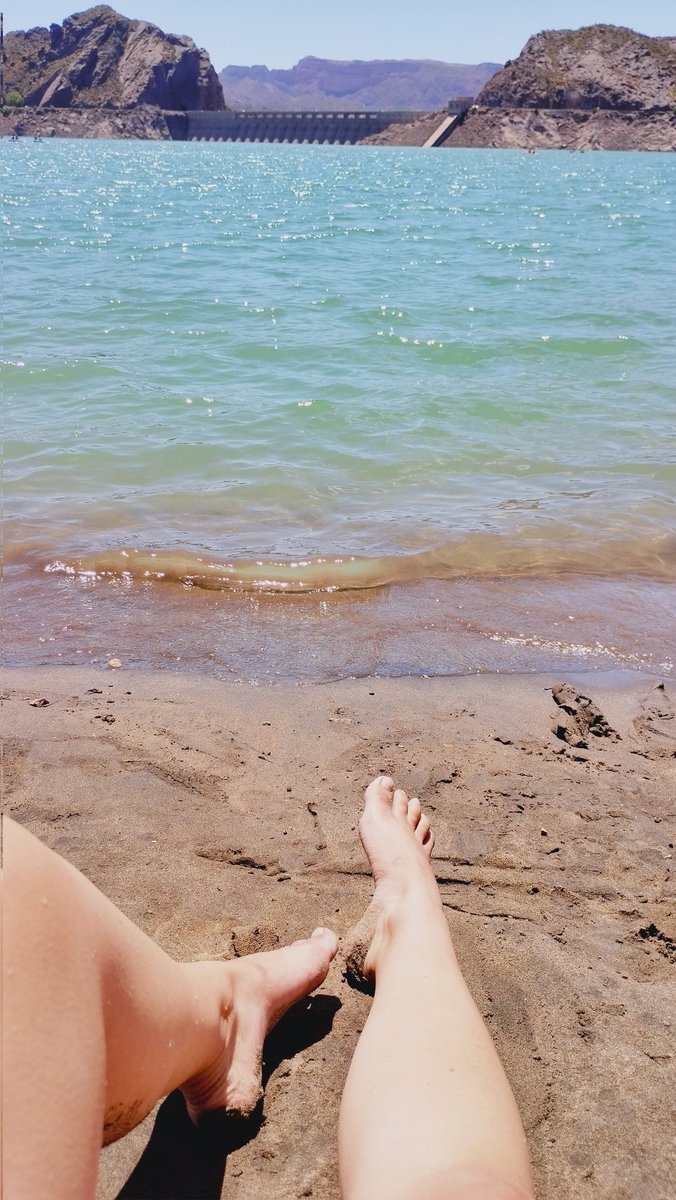 srta chanandler bong tweet media