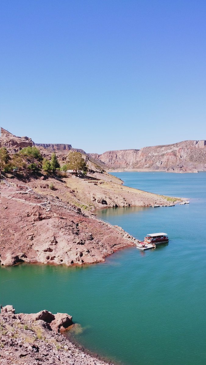 srta chanandler bong tweet media