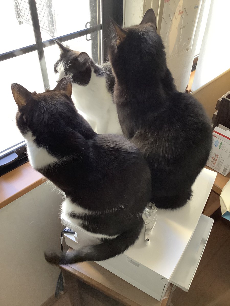 urawanoreiko's tweet photo. プリンターが「重い」と言っているようにみえます。 https://t.co/Fzy4t9iViU