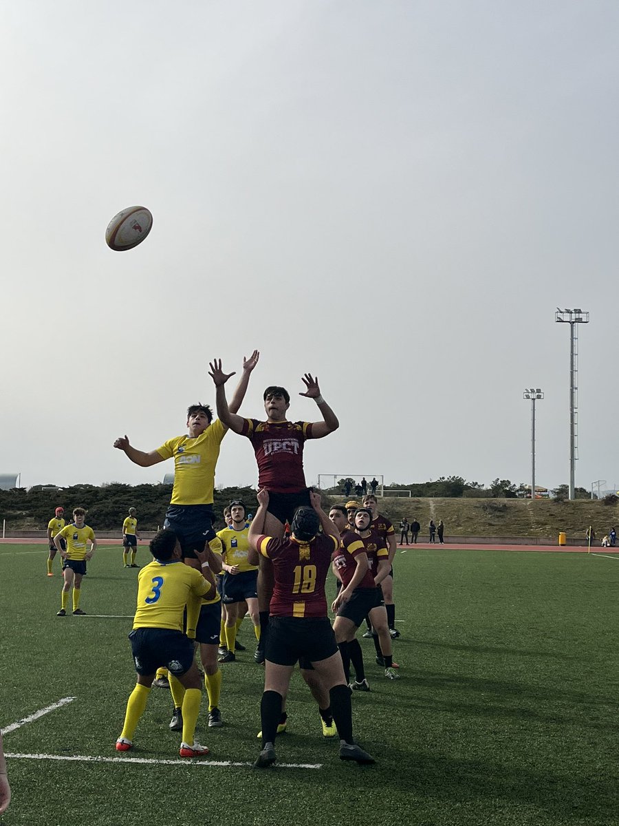 JAVIER BERMEJO tweet media