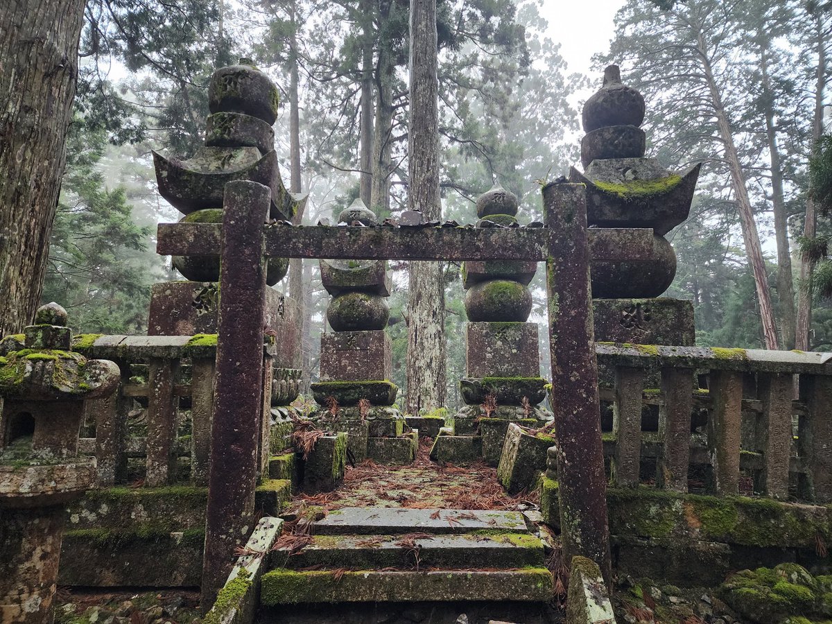 Steve Rampling tweet media