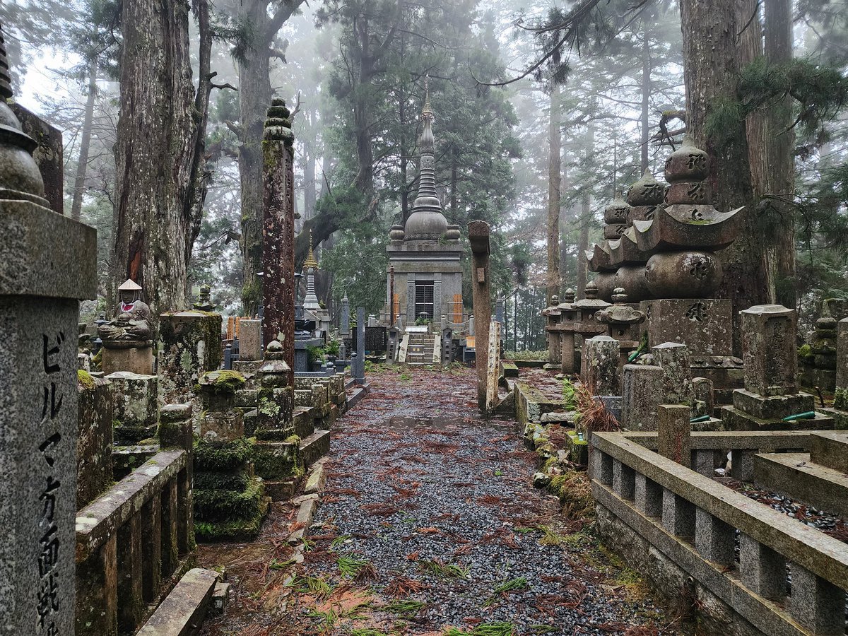 Steve Rampling tweet media