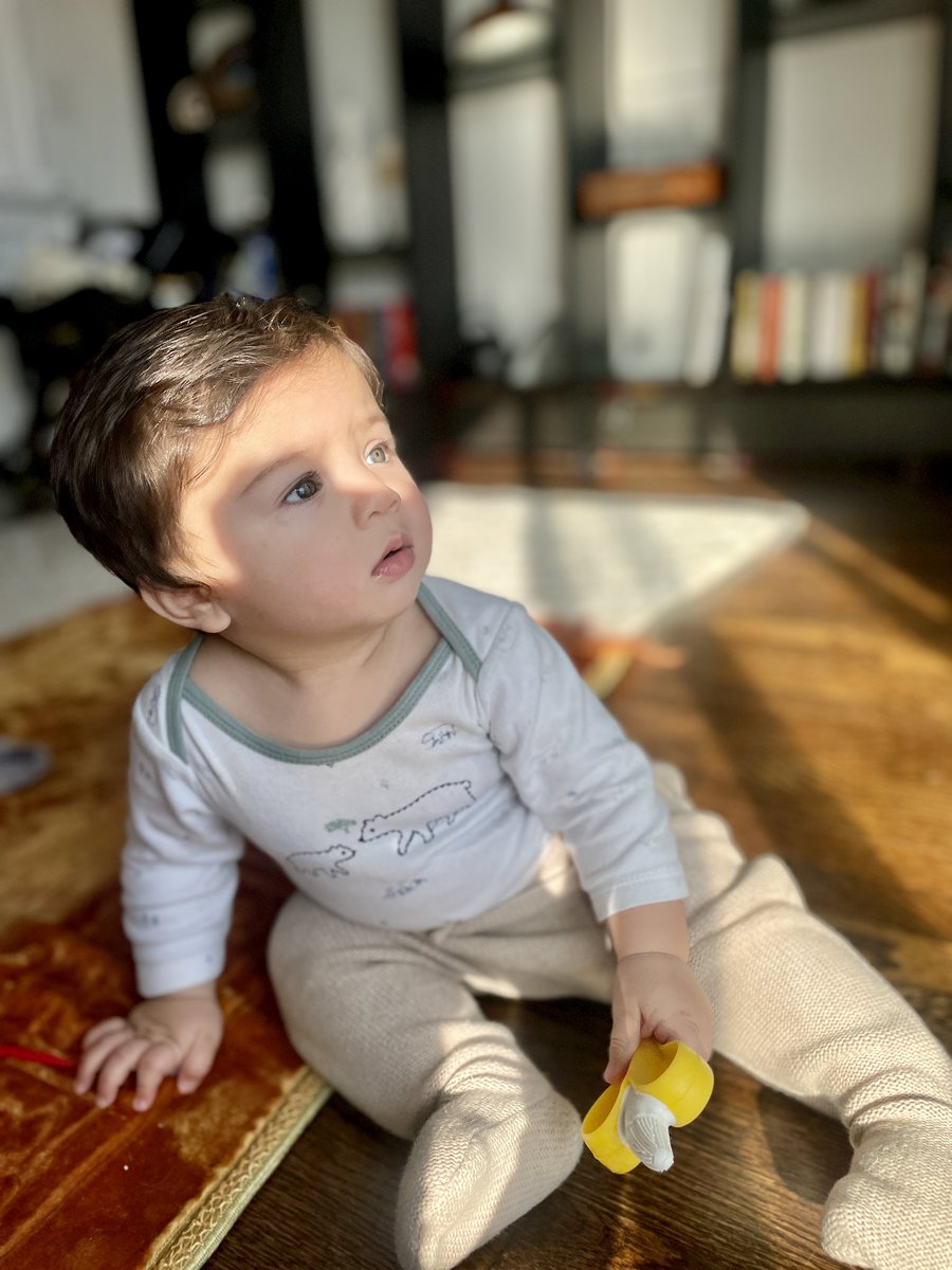brisakrizevac's tweet photo. Have you ever seen a face so handsome https://t.co/c7uJGWlChg