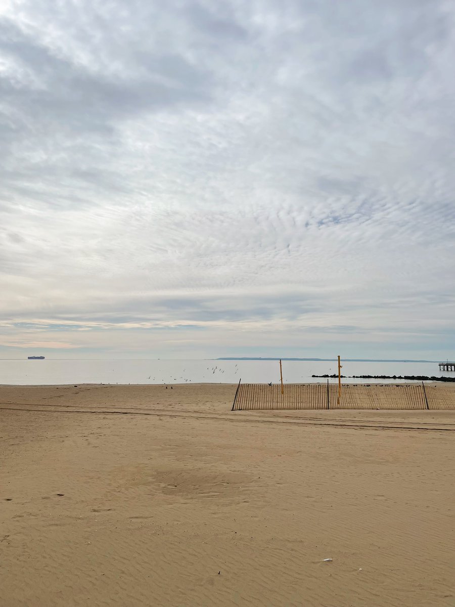 AlexaLikesBirds's tweet photo. A beautiful day at Coney Island🌊🎡; @koolshark2, Lisa, and I got excellent looks at two Razorbills, lots of Loons, plus a literal cloud of Northern Gannets (a lifer for me🤩) https://t.co/Pmu7FF2tZs