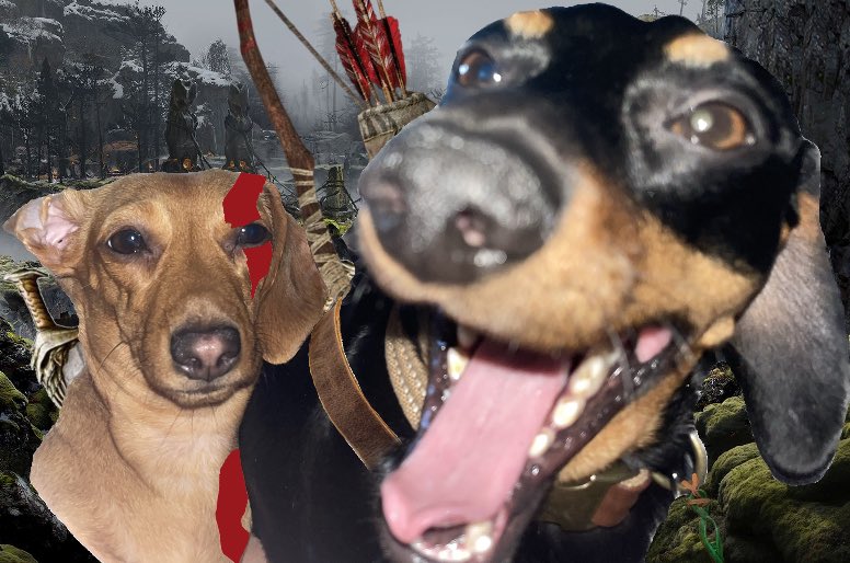 mallo_R6's tweet photo. My dogs literally fit Kratos &amp; Atreus perfectly https://t.co/2NULzoOZWf