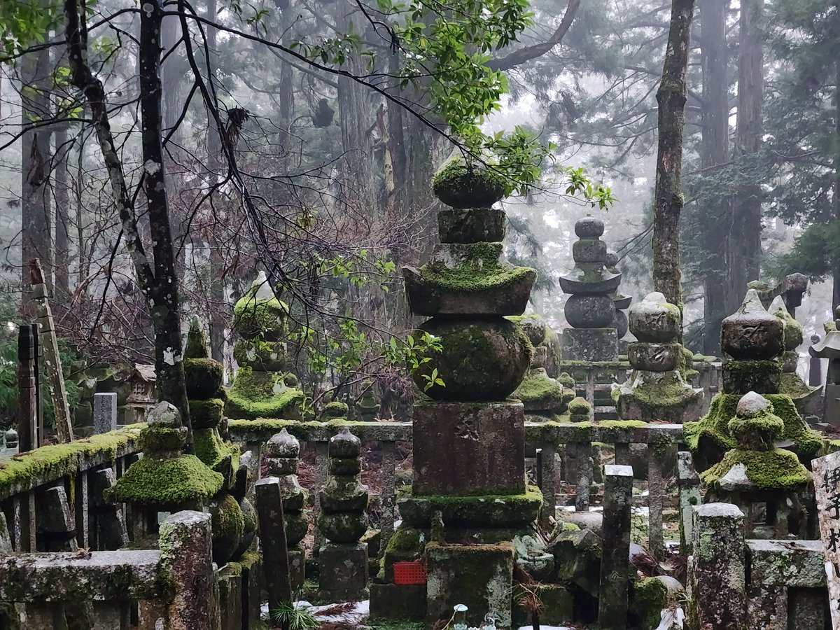 Steve Rampling tweet media