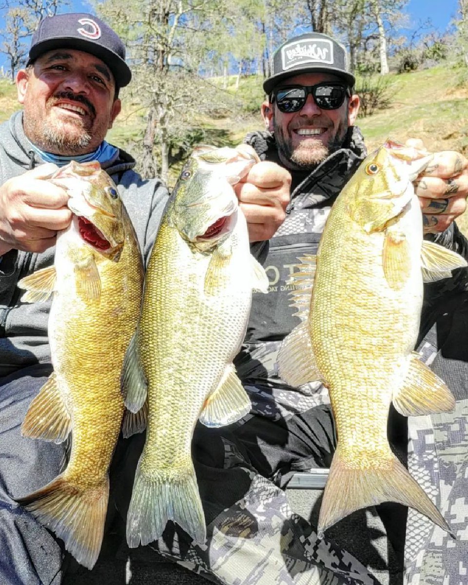 Bassonline's tweet photo. Want a #California guide trip on one of our favorite lakes, #LakeBerryessa, it doesn't disappoint!! The fishing is absolutely on fire right now, get some before the dates are sold out!
#donk #biggin #toad #thewaterismystadium #bassfishing #proguide #fishingcharter #bassonline https://t.co/VfsdiRam6x