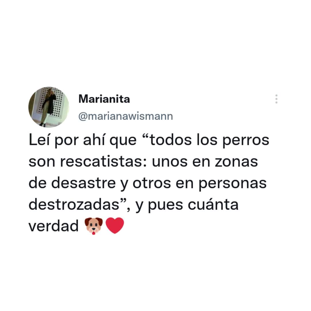 BardinosS's tweet photo. La verdad ❤️ https://t.co/UBfrdcBPIq