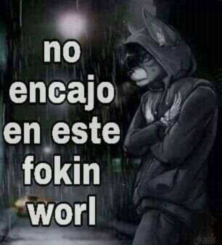 Nose19N's tweet photo. https://t.co/q802N2vvUd