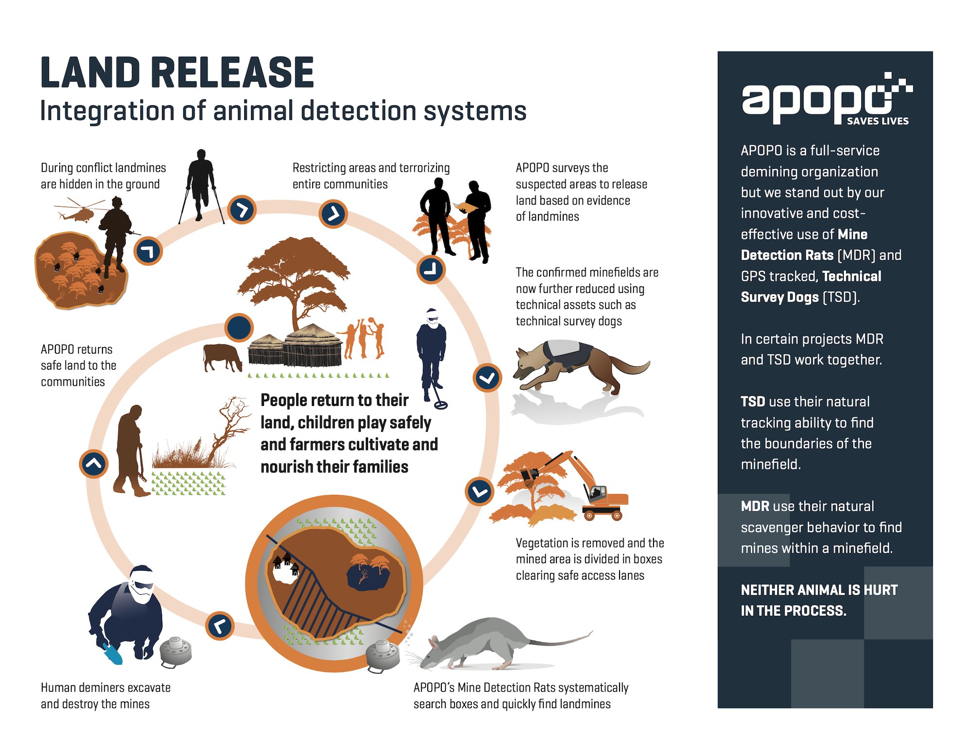APOPO on Twitter ""Land release" is the operational framework for any