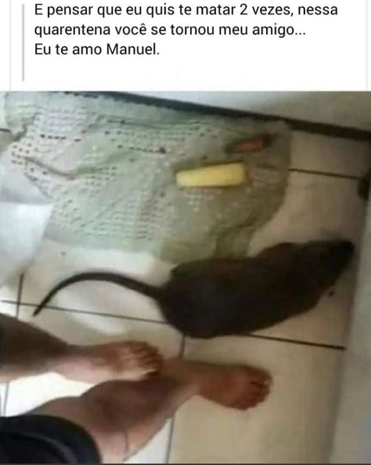 se a terra não é plana como explica o céu reto? tweet media