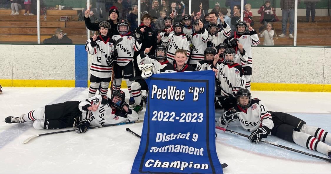 RochYouthHockey's tweet photo. We are hearing about a lot of great weekend hockey results!
Congrats to this PeeWee B “Gold” team!
#d9champs #ontoregions https://t.co/sEO6MsE6wb