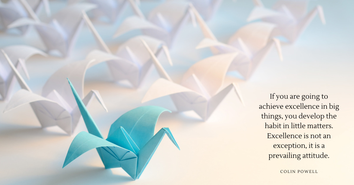 BlueCraneMobile's tweet image. At Blue Crane, our focus is to solve operational challenges through strategic and operational delivery, training and programs.

Visit our website to coordinate an audit for your organisation today. 
bluecrane.com.au

#bluecrane #processimprovement #financialoutcomes