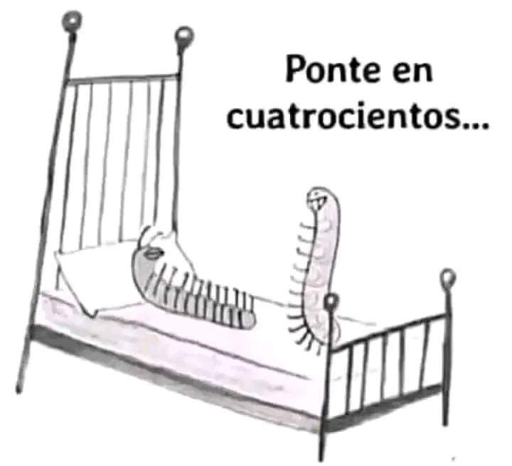 DonMemazos's tweet photo. Y ahora... https://t.co/zV8wIWmiKk