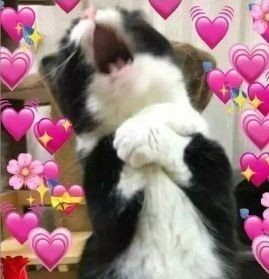 ¿Quien más se muere de ternura? 🥹