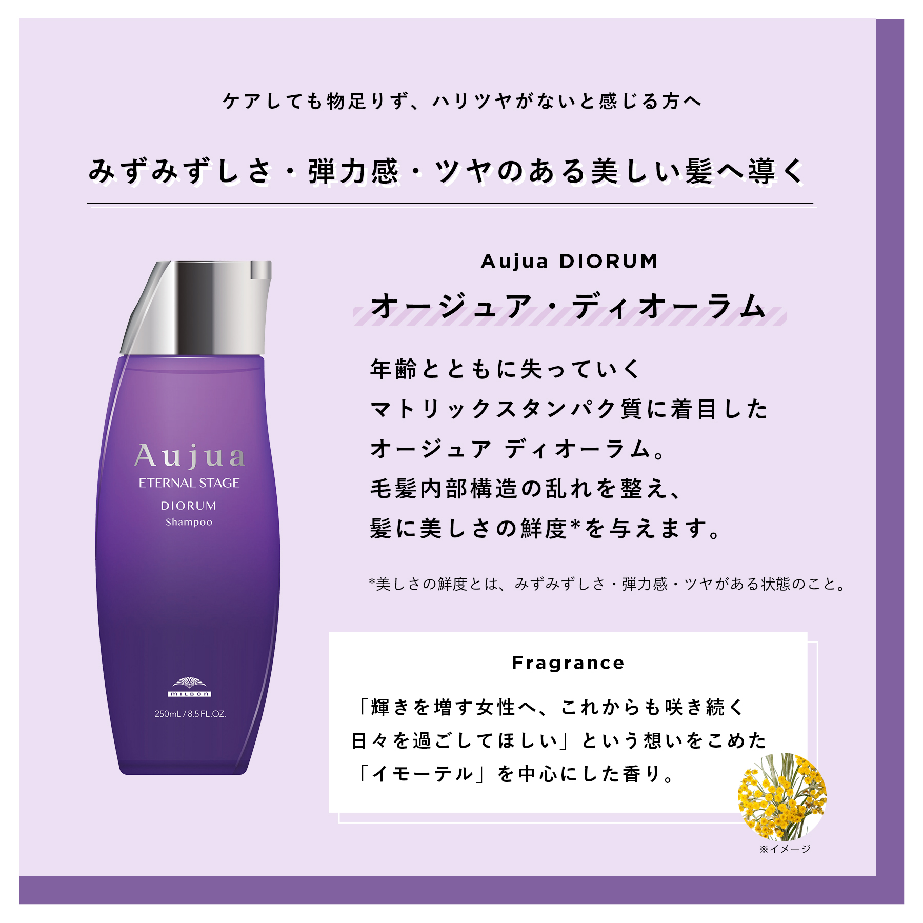 新作グッ オージュア ディオーラム cerkafor.com