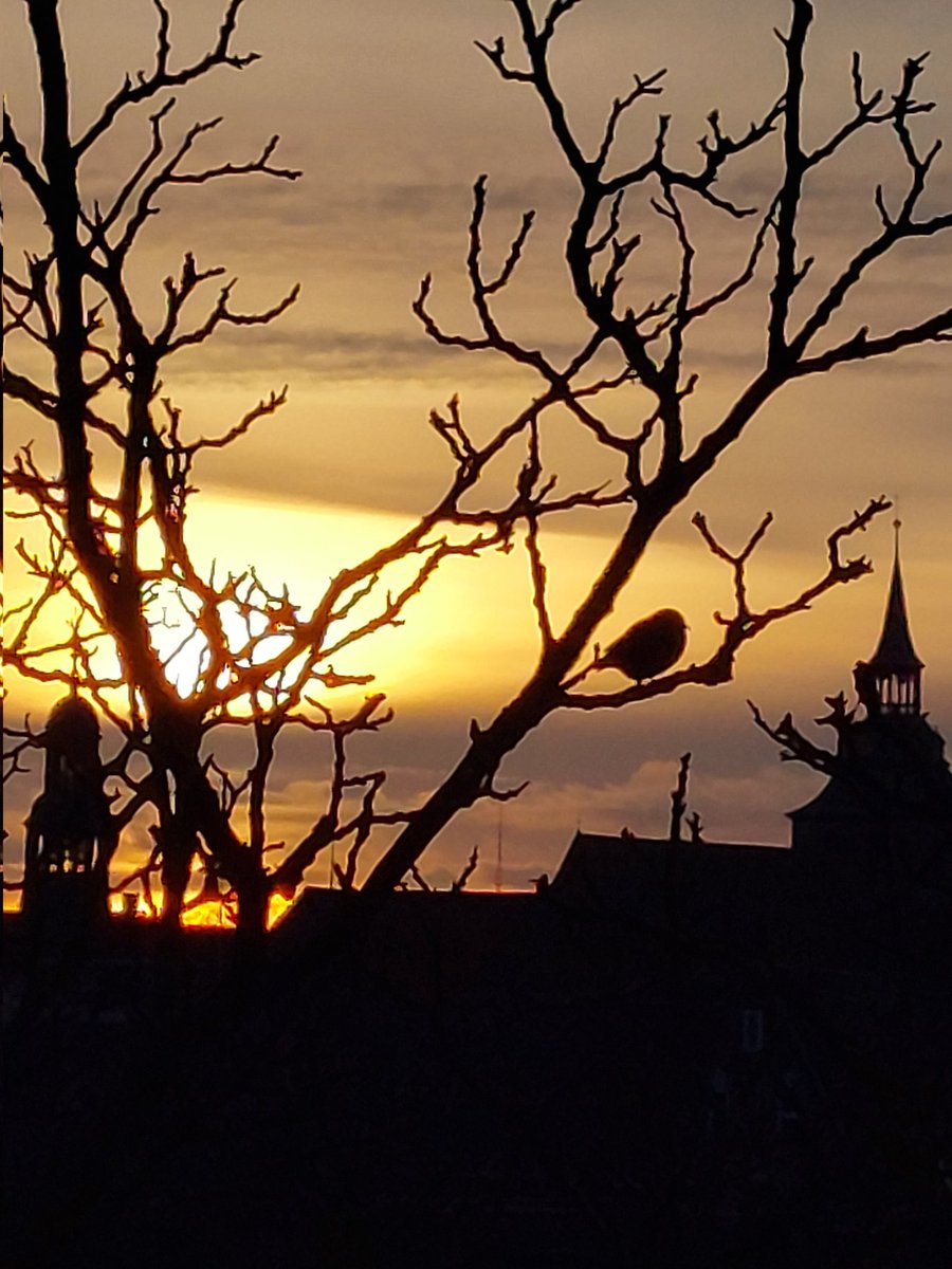 Cloudyluke (@cloudylluke) on Twitter photo 