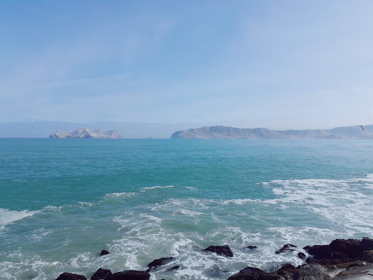 julioayala1965's tweet image. El fantástico Distrito de La Punta...
#LaPunta #Callao #peru🇵🇪 #paisajesperu #culturaperu #goperu #goodvibes #greatday #adventure #amazing #history #naturephotography #culturephotography
