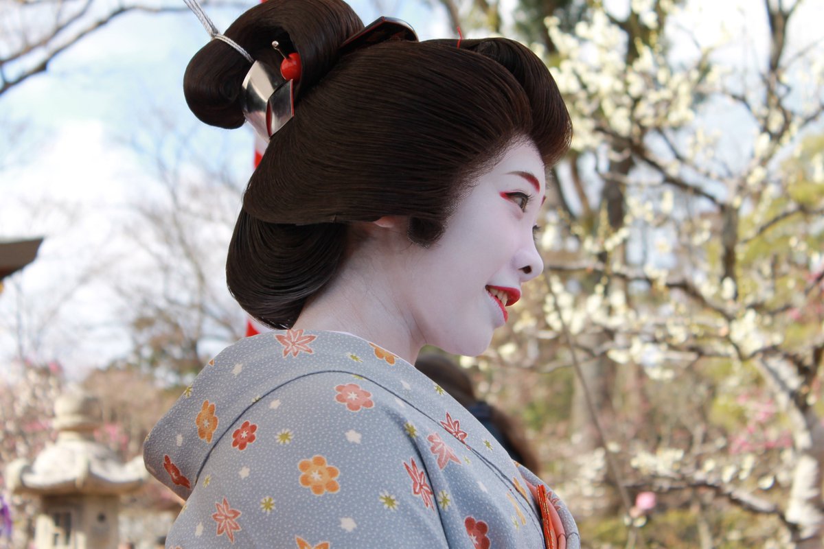 camelliakyoto's tweet photo. 🔍👀IN SEARCH OF BLOSSOMS🗺️🌸
The plum blossoms are blooming again, and the city is awaking from its winter slumber.

Here is a handy thread about some of the best places to catch ume in Kyōto🧵⬇️
#Kyoto #京都 #梅 #plumblossoms #ume #梅の花 #Japan 

Do add your own suggestions!��‍♂️ https://t.co/T7PD3cFcwJ
