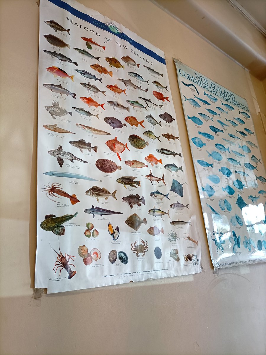 JeromeChandra's tweet image. At the Hillary Court fish and chip shop, they have posters of all fish that been caught shoplifting #wow #sad #DoBetter