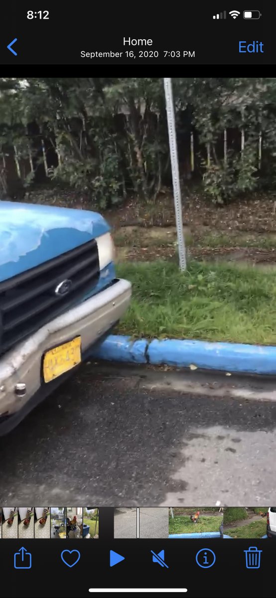 AmberaTolbert's tweet photo. Anchorage (or perhaps Alaska) friends please help if you can!

Someone has stolen my mom's 1988 F-150 blue truck and if you see it around town please reach or or call APD. The case number is 23-5133

Please share as much as you can and know that I appreciate all of your help! https://t.co/pfO4ci7RVU