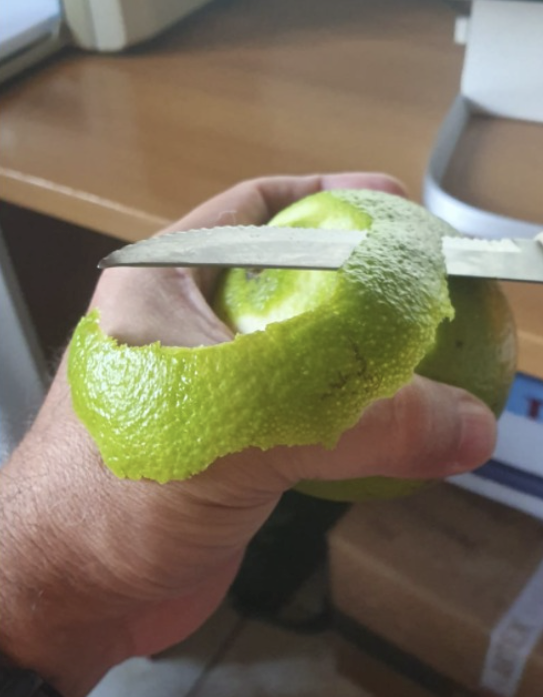 sergiofreire's tweet photo. De laranjas e amores

- "Quer laranja, filha?", perguntei para Clara.
- "Quero!"
- "Vou descascar..."
Assim, nessa conversa aparentemente banal, foi convocada em mim uma saudade fininha do meu velho pai. + https://t.co/ubFRlU5Dzf